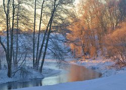 Zima, Rzeka, Drzewa, Śnieg, Słoneczne światło