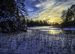 Zakole rzeki zimą o wschodzie słońca