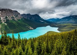 Park Narodowy Banff, Jezioro, Peyto Lake, Góry, Skały, Chmury, Drzewa, Lasy, Prowincja Alberta, Kanada