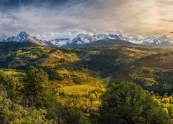 Stany Zjednoczone, Kolorado, Góry, San Juan Mountains, Lasy, Drzewa