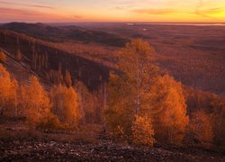 Zalesione wzgórza jesienną porą