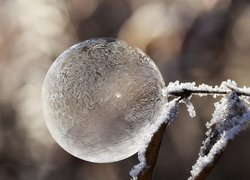 Zamarznięta bańka na oszronionym liściu