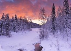 Zamarznięta rzeka w Laponii w scenerii zimowego lasu