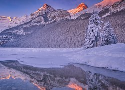 Zima, Góry, Ośnieżone, Drzewa, Zamarznięte, Jezioro, Lake Louise, Odbicie, Park Narodowy Banff, Alberta, Kanada