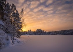 Finlandia, Tampere, Rejon Pirkanmaa, Zamarznięte, Jezioro Näsijärvi, Ślady, Świt, Wschód słońca, Zima, Las, Drzewa, Domy