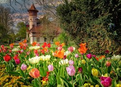 Kwiaty, Tulipany, Wiosna, Zameczek Scheuermanna, Park, Herrsching am Ammersee, Bawaria, Niemcy