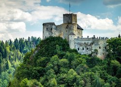 Zamek Dunajec na zadrzewionym wzgórzu w Niedzicy