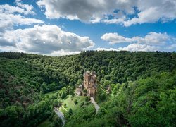 Zamek Eltz, Drzewa, Las, Chmury, Gmina Wierschem, Nadrenia-Palatynat, Niemcy