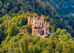 Zamek Hohenschwangau i las na skałach w Alpach Bawarskich