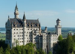 Zamek Neuschwanstein otoczony drzewami w Bawarii