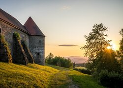 Zamek Piberstein, Austria, Wieża, Mury, Drzewa