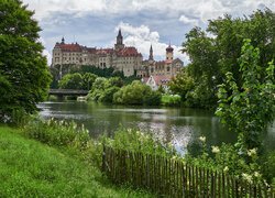 Zamek Sigmaringen, Niemcy, Rzeka, Dunaj, Drzewa
