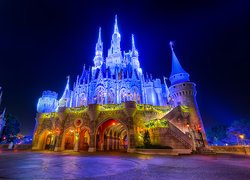 Zamek Cinderella Castle w Disney Word na Florydzie