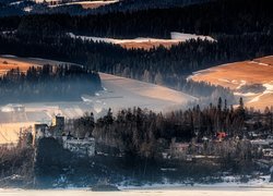 Polska, Powiat nowotarski, Wieś Niedzica-Zamek, Góry Pieniny, Drzewa, Las, Zima, Zamek Dunajec, Zamek w Niedzicy, Mgła, Pola