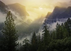 Dolina, Yosemite Valley, Park Narodowy Yosemite, Mgła, Góry, Drzewa, Lasy, Stan Kalifornia, Stany Zjednoczone