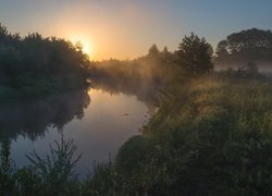 Zamglona rzeka i łąka o wschodzie słońca