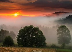 Góry, Beskidy, Lasy, Drzewa, Zawoja, Mgła, Zachód słońca, Polska