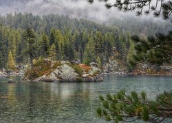 Zamglone góry i las nad jeziorem Bergsee