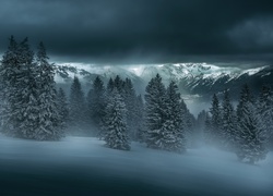 Zamglone góry i las w zimowym krajobrazie