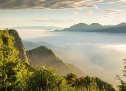 Zamglone góry w gminie Alishan w zachodniej części wyspy Tajwan