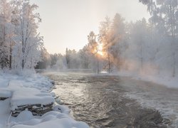 Zima, Śnieg, Rzeka, Ośnieżone, Drzewa, Kamienie, Mgła, Wschód słońca