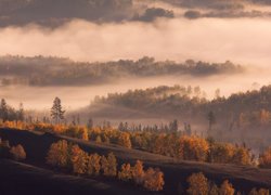 Lasy, Drzewa, Mgła, Góry Khrebet Nurali, Ural, Rosja