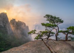 Korea Południowa, Dobongsan, Góry, Skały, Sosny, Słoneczne światło, Mgła