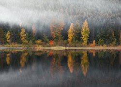 Jesień, Mgła, Jezioro, Drzewa