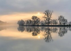 Mgła, Rzeka Mozela, Drzewa, Wschód słońca, Niemcy