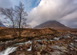 Zamglony szczyt Buachaille Etive Mor w Szkocji