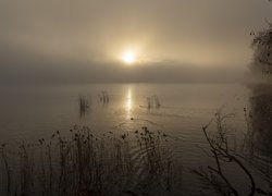 Zamglony wschód słońca nad jeziorem