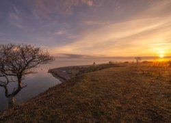 Zamglony wschód słońca nad polami i jeziorem