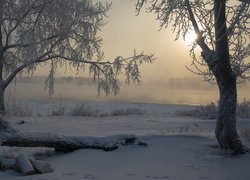 Zamglony wschód słońca nad rzeką i ośnieżonymi drzewami