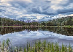 Stany Zjednoczone, Kolorado, Park Narodowy Gór Skalistych, Jezioro, Spraque Lake, Drzewa, Szuwary