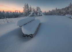 Zaśnieżona ławka obok drzew