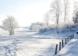 Rosja, Psków, Zaśnieżona, Rzeka Wielikaja, Zima, Miroski Monaster Przemienienia Pańskiego, Klasztor, Most, Drzewa, Słupki