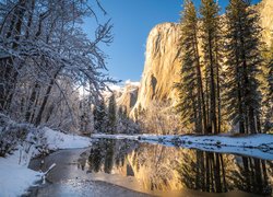 Zima, Drzewa, Rzeka, Merced, Park Narodowy Yosemite, Kalifornia, Stany Zjednoczone