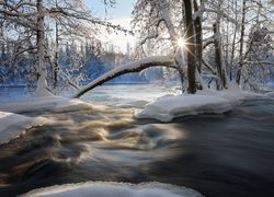 Zima, Śnieg, Drzewa, Rzeka, Promienie słońca