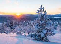 Zima, Śnieg, Drzewa, Góry, Promienie słońca