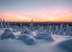 Zima, Śnieg, Drzewa, Góry, Laponia, Finlandia