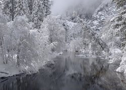 Rzeka, Drzewa, Śnieg, Zima, Mgła, Czarno-białe