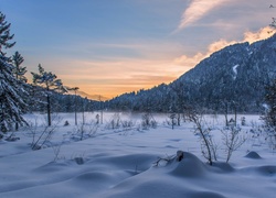 Zima, Góry, Drzewa, Śnieg