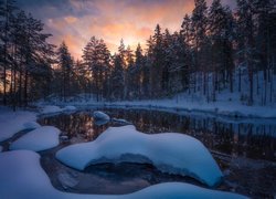 Norwegia, Gmina Ringerike, Drzewa, Zima, Śnieg, Jezioro