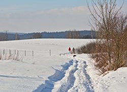 Zaśnieżone pola i łąki