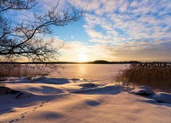 Jezioro, Drzewa, Trawy, Wschód słońca, Zima