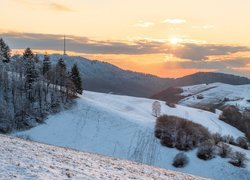 Zima, Góry, Wzgórza, Kaiserstuhl, Drzewa, Wschód słońca, Badenia-Wirtembergia, Niemcy