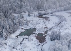 Zaśnieżony las i rzeka z lotu ptaka