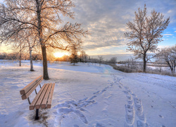 Zaśnieżony park z ławką o świcie