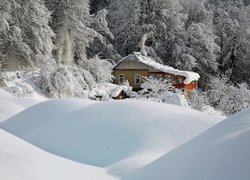Zaspy śnieżne przy domku pod ośnieżonymi drzewami