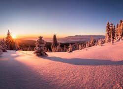 Zima, Wschód słońca, Śnieg, Drzewa, Góry, Tatry, Hala Młyńska, Koszary Łopuszańskie, Powiat nowotarski, Polska